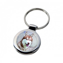 Siberian Husky