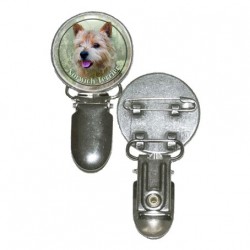 Norwich Terrier