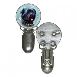Irish Glen of Imaal Terrier