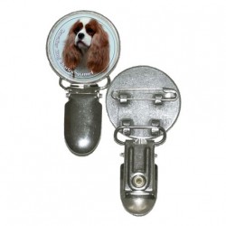 Cavalier King Charles Spaniel