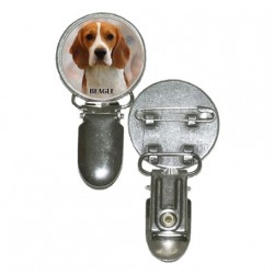 Beagle