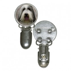 Bearded Collie