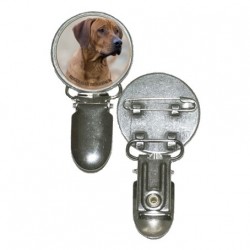 Rhodesian ridgeback