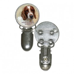 Welsh Springer Spaniel