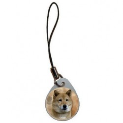 Shiba