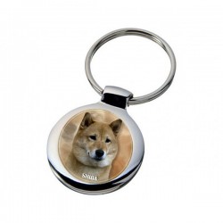 Shiba