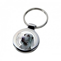 Weimaraner