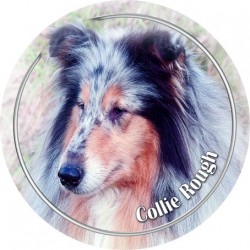 Collie Rough