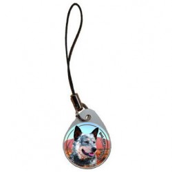Australian Cattle Dog
