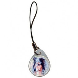 Collie Rough