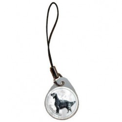 English Setter