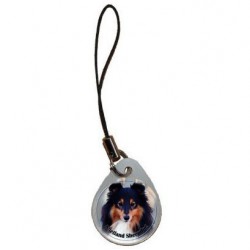 Shetland Sheepdog