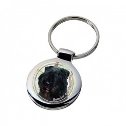 Bouvier des Flandres