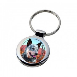 Australian Cattle Dog