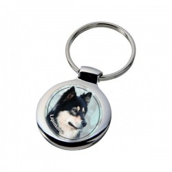 Lappländischer Rentierhund