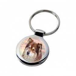 Lappländischer Rentierhund