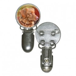 Nova Scotia Duck Tolling Retriever