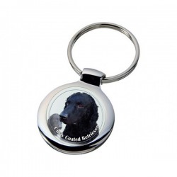 Curly Coated Retriever