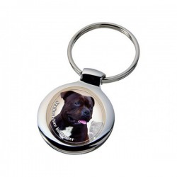 Staffordshire Bullterrier