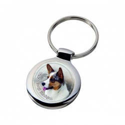 Welsh Corgi