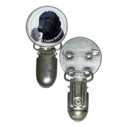 Curly Coated Retriever