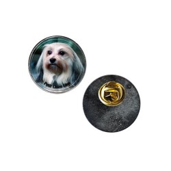 Petit chien lion