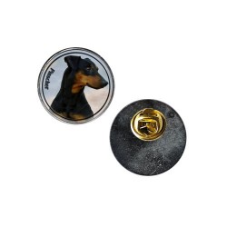 Pinscher