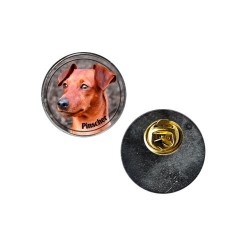 Pinscher