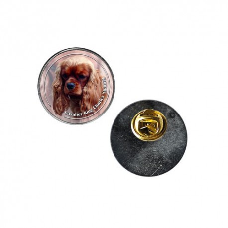 Cavalier King Charles Spaniel Cavalier King Charles Spaniel