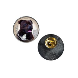 Staffordshire Bullterrier