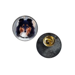Shetland Sheepdog