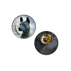 Thai Ridgeback