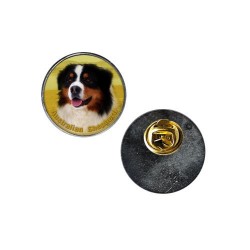 Australian Shepherd