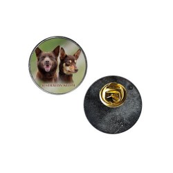 Australian Kelpie