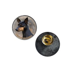 Toy Terrier