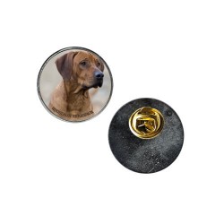 Rhodesian ridgeback