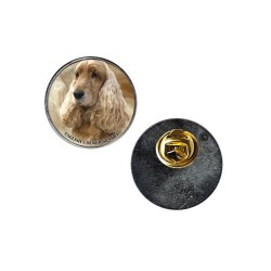 English Cocker Spaniel