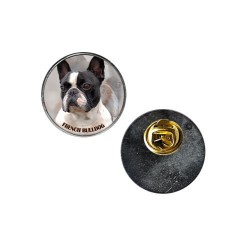 Französische Bulldogge
