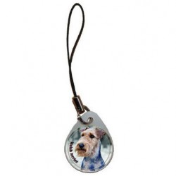 Welsh Terrier