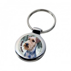 Welsh Terrier