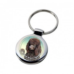 Irish Water Spaniel