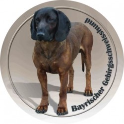 Bayerischer Gebirgsschweißhund