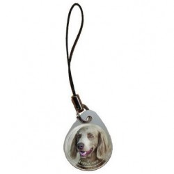 Weimaraner