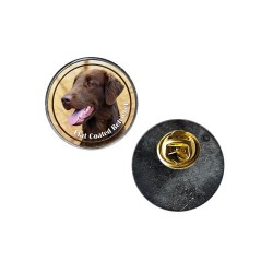 Flat Coated Retriever