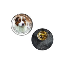 Australian Shepherd