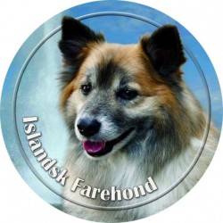 Islandsk Farehond