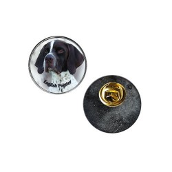 English Pointer