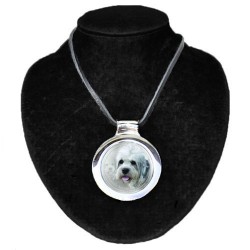 Dandie Dinmont Terrier
