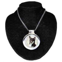 Chihuahua