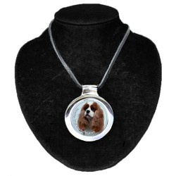Cavalier King Charles Spaniel